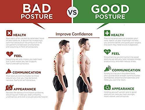 Back Support Posture Corrector Belt – Ideal for Men and Women